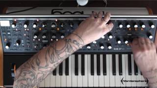 Moog Sub 37- Rhythmic and Percussive Looping