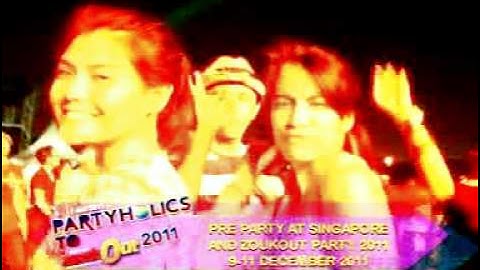 PARTYHOLICS TO ZOUKOUT 2011a MPEG1 VCD PAL