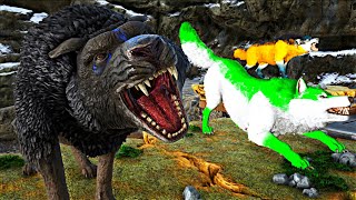 OS LOBOS SOMBRIOS ESTÃO NOS ATACANDO! BEBÊ LOBO DA CAVERNA! Dinossauro Ark