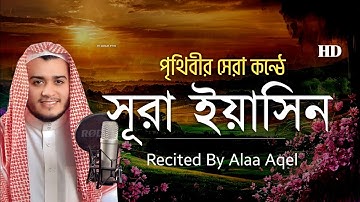 সূরা ইয়াসিন (ইয়াসিন) এর সবচেয়ে সুন্দর তেলাওয়াত سورة يس ⋮ By Alaa Aqel