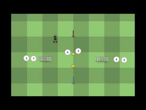 კოორდინაცია ( coordination )