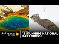 Bobcats and National Parks Knowledge