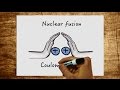 Nuclear fission and nuclear fusion - what exactly happens in these processes?