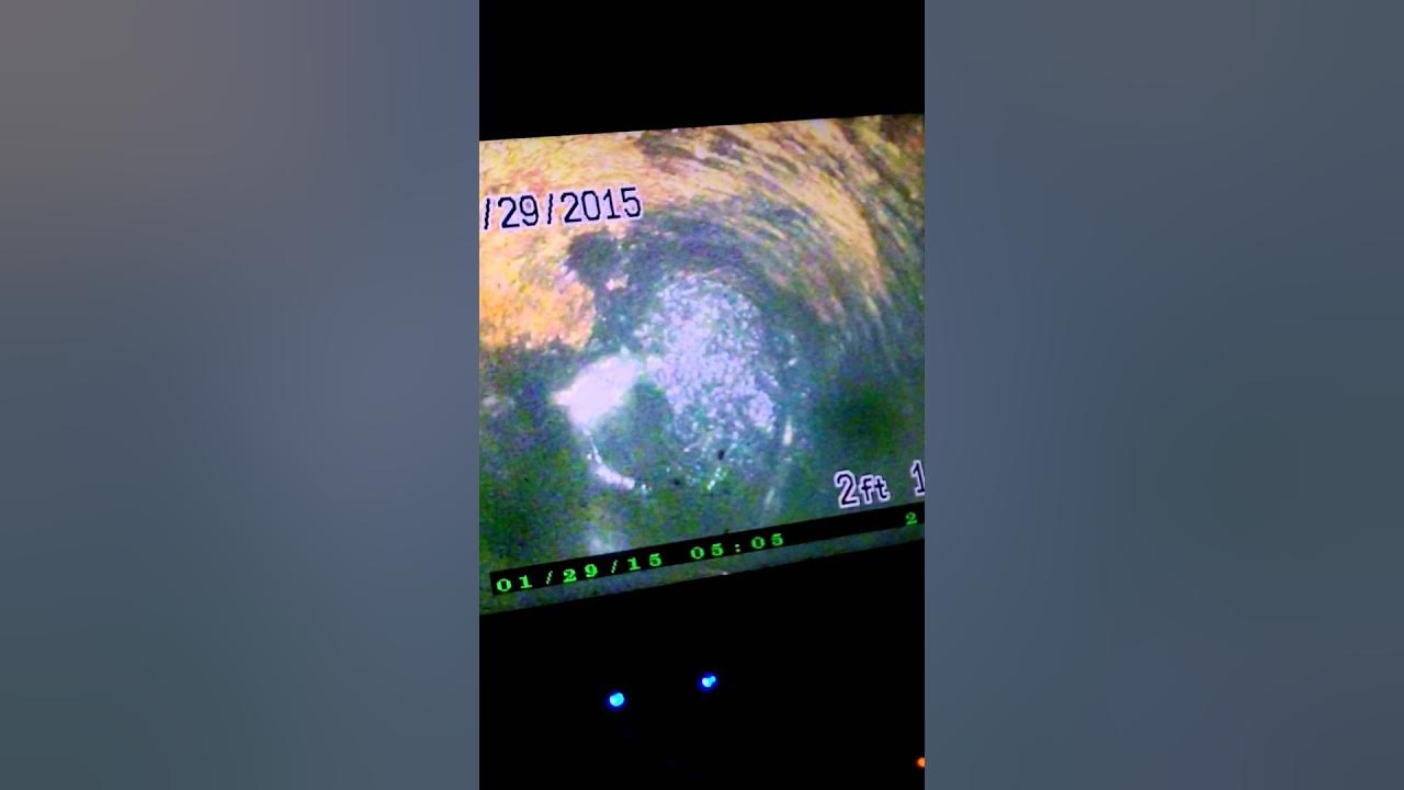 How a wedding ring flushed down the toilet was recovered YouTube