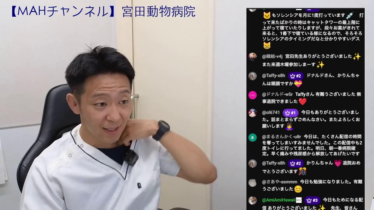 Miyata Animal Hospital Live Stream [MAH Channel] - YouTube