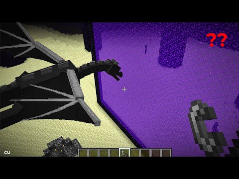Ender Dragon Nether'a