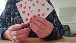 18 -- 1 Aralık -- İki̇zler Burcu Giresun637