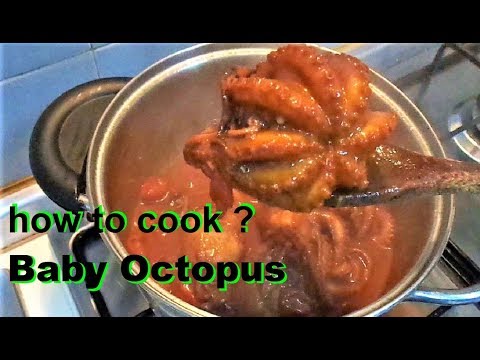 octopus-with-spaghetti-how-to-cook-baby-octopus