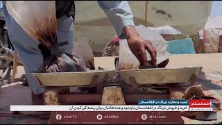 Jamshid Bahrami Iran International کشت و تجارت تریاک در افغانستان، ایران اینترنشنال، جمشید بهرامی