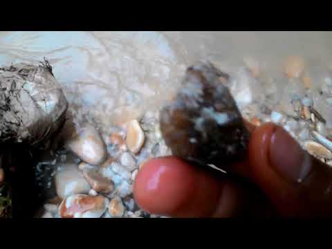 Video Cari Batu Mulia