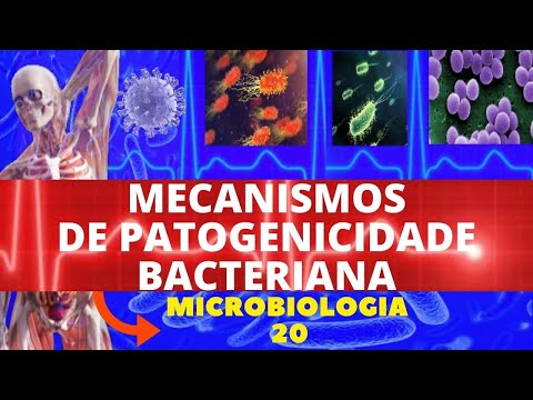 Vídeo: Qual é o papel dos profagos na patogenicidade bacteriana?