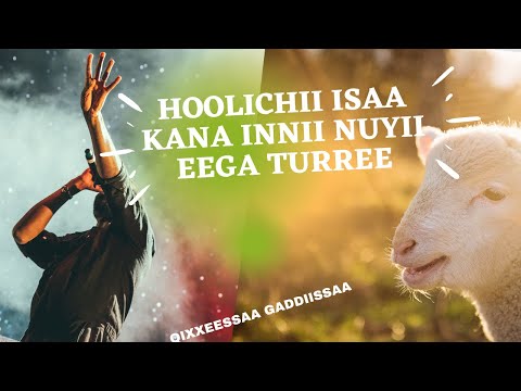 Qixxeessa Gaaddiisa Faarfannaa Afaan Oromoo Holichii Isaa Kanaa