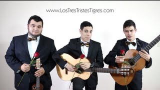 Video thumbnail of "Los Tres Tristes Tigres "Canción sincera""