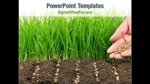 Planting Seeds PowerPoint Template Backgrounds - DigitalOfficePro #08461