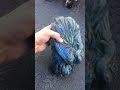 labradorite peacock #labradorite #crystalwholesale #crystalshop #crystals #crystalsforsale