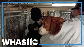 Animal rights activists storm beagle research facility in Wisconsin