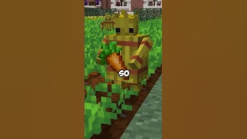 Minecraft’s Newest Golem!