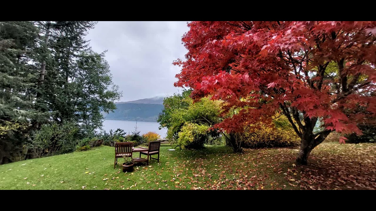 The Resting Place Beneath The Crimson Tree