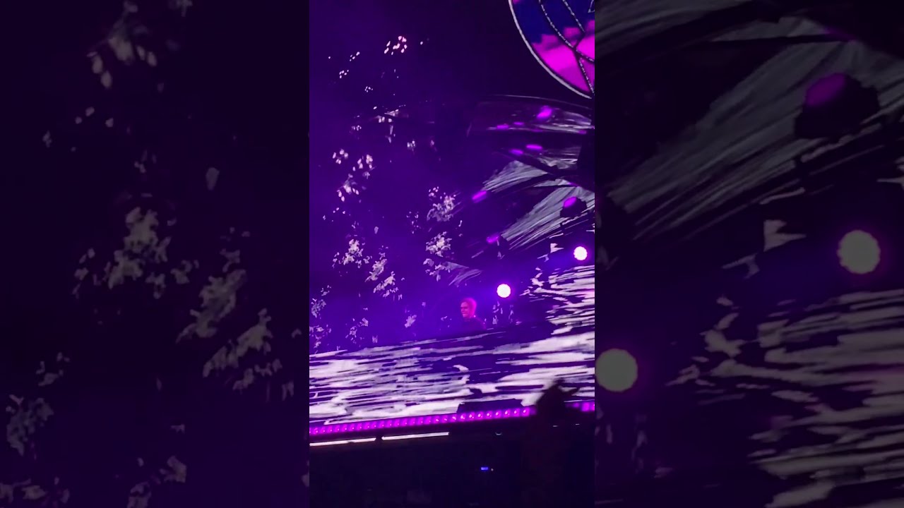 Billie Eilish - everything i wanted (Armin van Buuren Remix) (ID) | Live from DWP 2024
