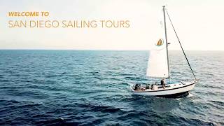 Whale Watching with San Diego Sailing Tours - 15 Seconds of Gentle Giants and Sailing Serenity