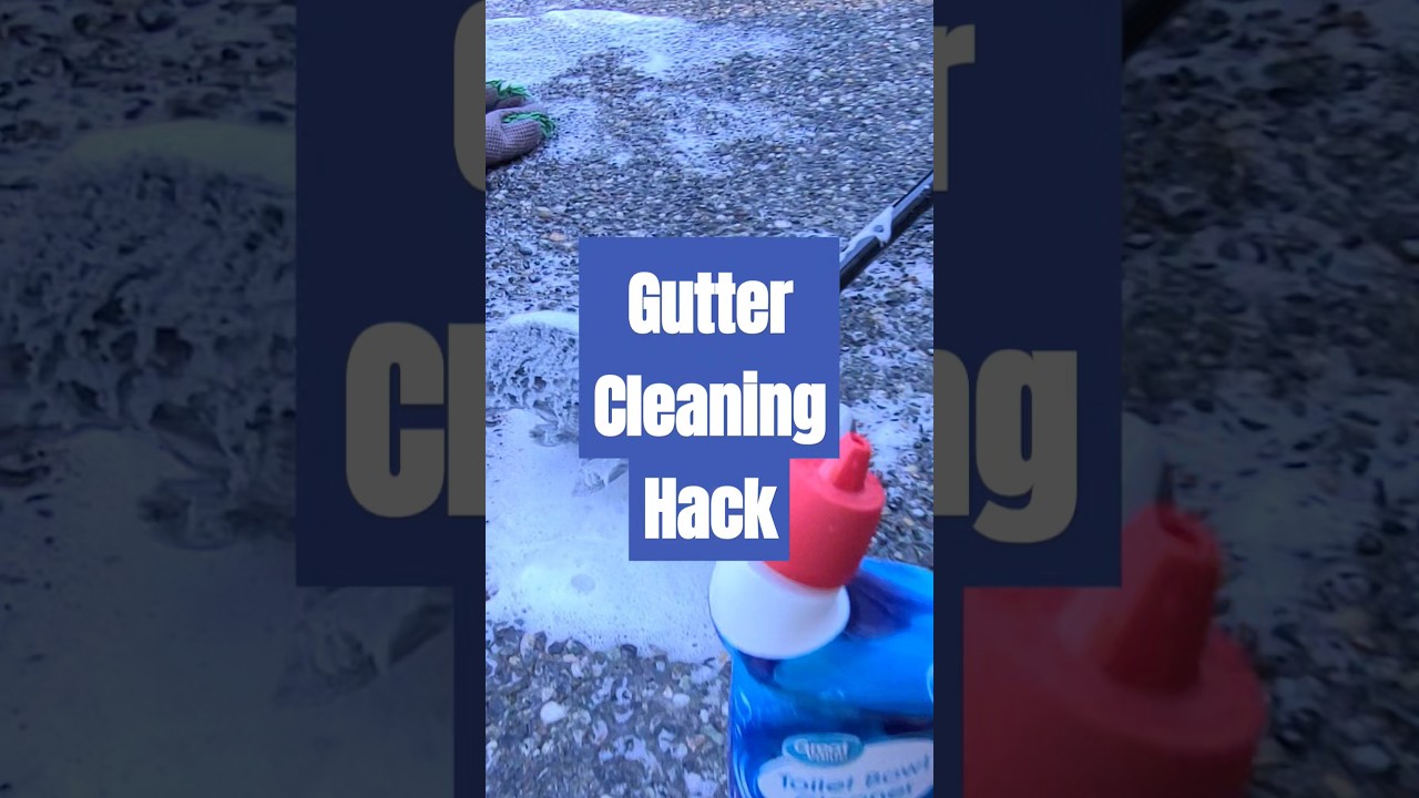 Gutter Cleaning Hack 