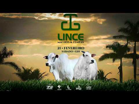 LOTE 76   NITRO FIV LINCE   GART 2015