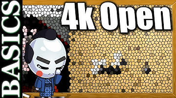 4Kyu Openings need WORK - Back to Basic Baduk