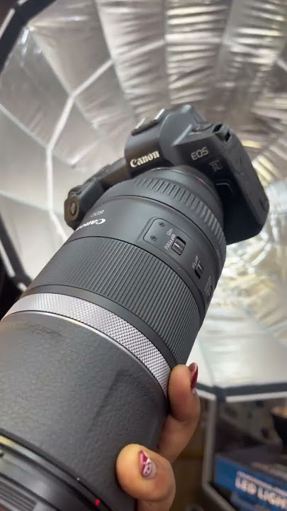 Canon EOS R with an RF lens 600mm #photography #canon #canonphotography