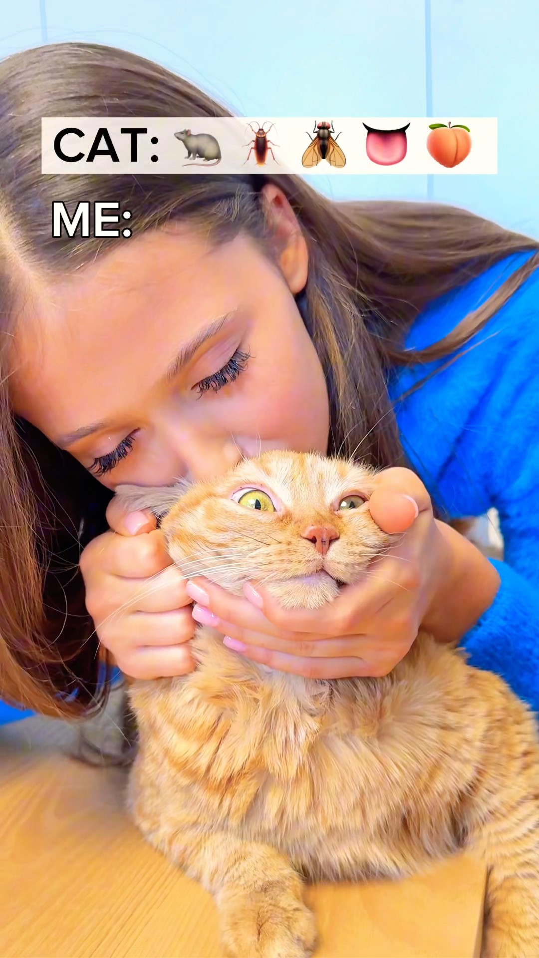 WAIT, what did the cat say to me????❓#catshorts