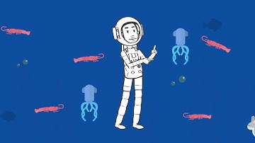 SYSTEM PARADIGM- The Engine Above *Music Video*