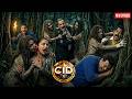 চুডাইলো জঙ্গলে সিআইডি দলকে আক্রমণ করেছিল || CID BANGLA  || NEW EPISODE