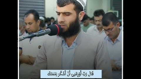 سورة الأحقاف:: القارئ رزكار محمد الكردي