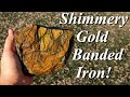 Birthday Bachelor Party Banded Iron! Hunting for Beautiful Gold Chatoyant Wyoming Banded Iron!