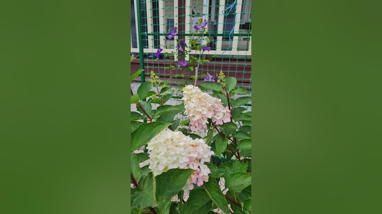 #13 Лето продолжается) - YouTube