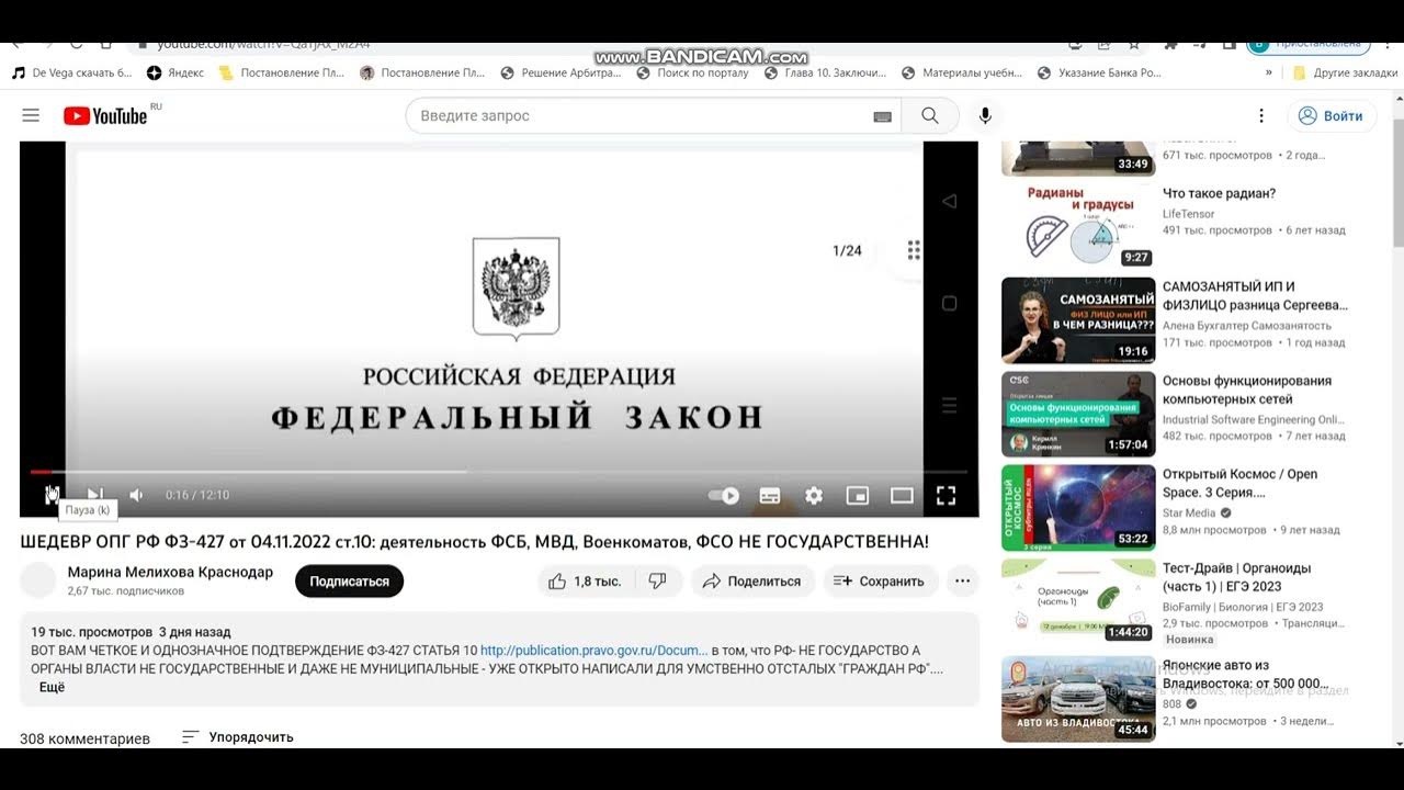 Комментарии в публичном канале. Ютуб правовая школа Виктории Момотовой.
