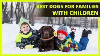 BEST DOGS FOR FAMILIES WITH CHILDREN | 12 of the top breeds to get if you have children by The Pet Pooch Program 794 views 2 years ago 7 minutes, 21 seconds