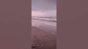 سيب إيل يقول يقول مش ماشيه بالأصول 