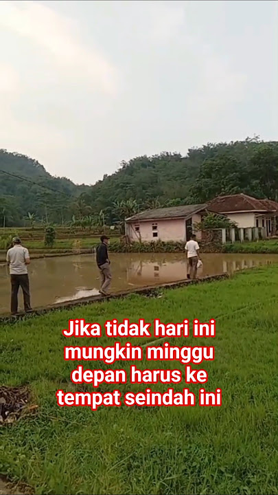 BUKAN TEMPAT WISATA TAPI VIBESNYA MELEBIHI TEMPAT WISATA KAMPUNG DI GANDASOLI SUKABUMI