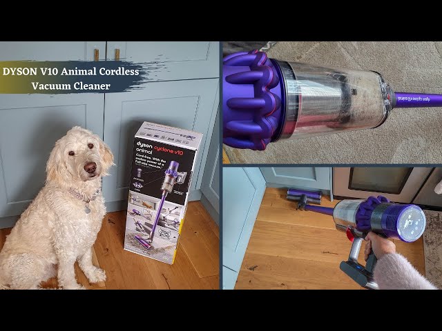 Dyson V10 Animal - Consumer REVIEW and real life BATTERY TEST! 🤓 