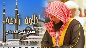 فجريّة بديعة تلاوة بترتيل النديّ ما تيسر من سورة غافر لفضيلة الشيخ أنس العمادي