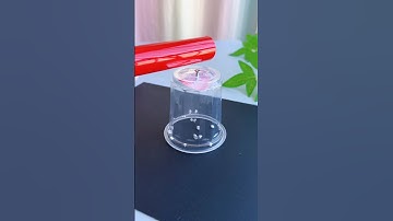 Diy static electricity experiment #diy