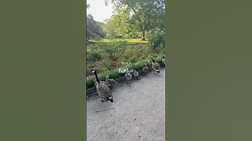 Studying for the Bar Exam. #barexam #barprep #lawschool #ellewoods