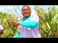 LUMASABA-BY-WAFULA WA NANGAMI- OFFICIAL video