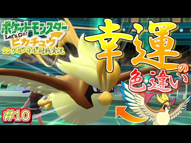 ピカブイ 幸運の色違いピジョットが強い Let S Go ピカチュウ シングル対戦実況 10 ポケモン ゲーム実況bymottv ゲーム実況アンテナ ピカブイ 幸運の色違いピジョットが強い Let S Go ピカチュウ シングル対戦実況 10 ポケモン ゲーム実況bymottv ゲーム実況アンテナ
