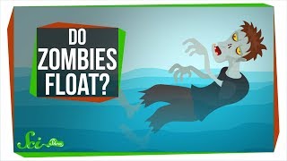 Do Zombies Float or Sink? Do Zombies Float or Sink?