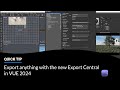Export anything with the new export central in vue 2024