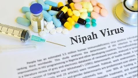Nipah virus: all you need to know