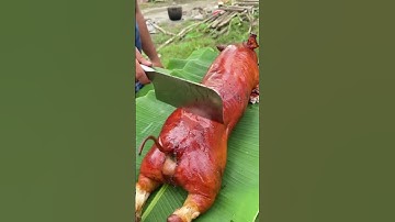Epic 15kg Whole Hog Roast Over Open Fire | Ultimate BBQ Feast & Carnivore’s Dream!