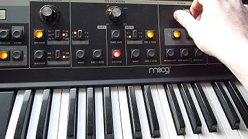Doepfer Dark Time & Moog Little Phatty demo
