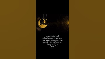شريف مصطفى - من سورة البقرة